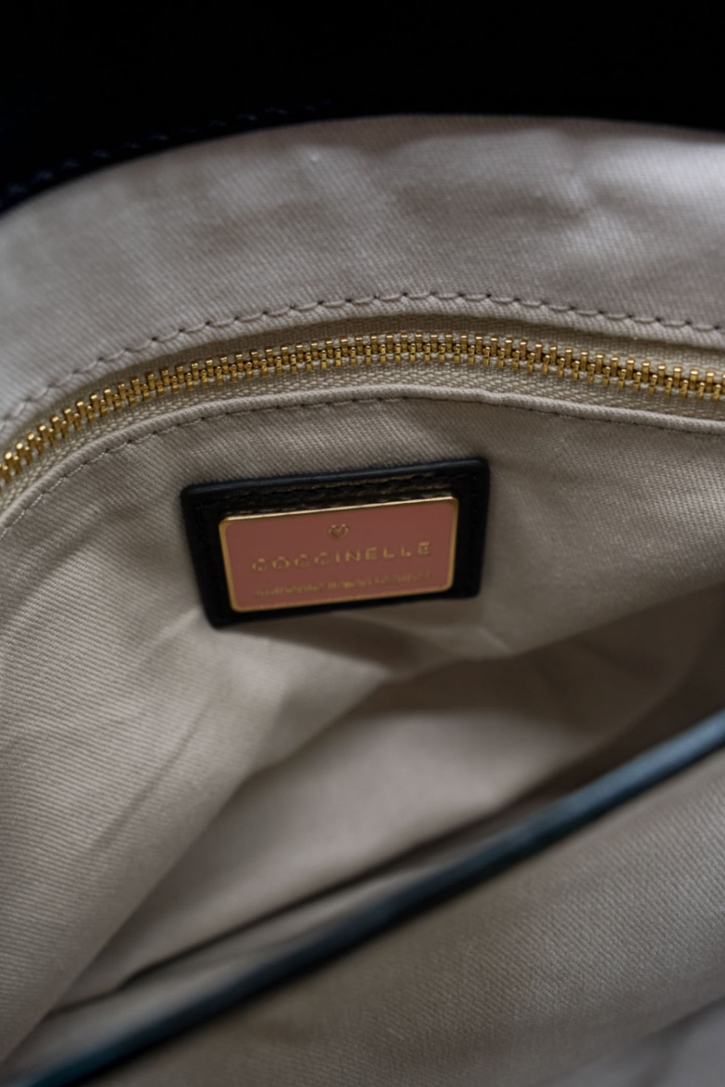 Tasche, Coccinelle